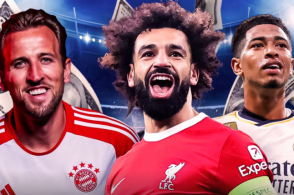 波兰队也有 波兰队也有